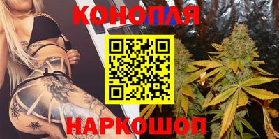 шишки Обь