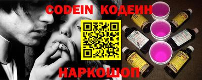 шишки Обь