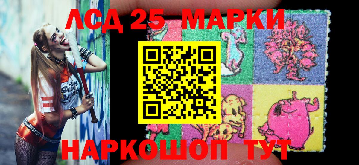 Наркотические марки 1,5мг  Вход с VPN  Курган  Наркотические марки 1,5мг 