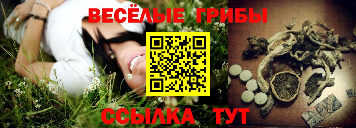 Галлюциногенные грибы GOLDEN TEACHER Курган